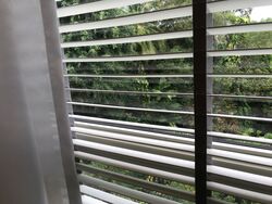 Flamingo Valley (D15), Condominium #556976221